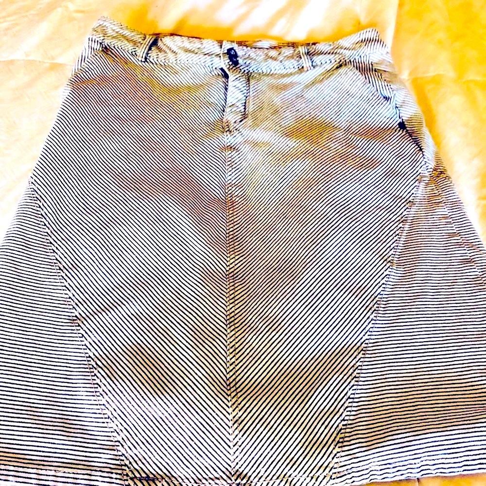 Anthropologie Pilcro & the Letterpress Women’s Denim Striped  Skirt Size 29